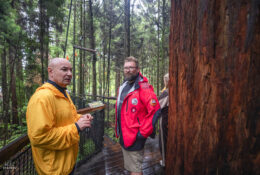 New Zealand 2025 (2 group) (66/84)